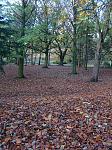 Click image for larger version. 

Name:	Autumnal view in Sefton Park Liverpool DSC01224R.jpg 
Views:	155 
Size:	1.00 MB 
ID:	11541