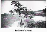 Click image for larger version. 

Name:	JACKSON'S POND.jpg 
Views:	394 
Size:	125.1 KB 
ID:	21239