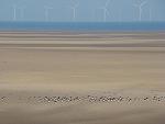 Click image for larger version. 

Name:	Liverpool Bay from Leasowe DSC05029R.jpg 
Views:	431 
Size:	50.1 KB 
ID:	4451