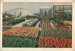 Click image for larger version. 

Name:	Liverpool International Garden Festival Post Cards (8).jpg 
Views:	595 
Size:	96.5 KB 
ID:	28301