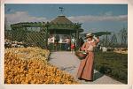 Click image for larger version. 

Name:	Liverpool International Garden Festival Post Cards (3).jpg 
Views:	787 
Size:	81.6 KB 
ID:	28295