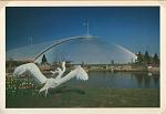 Click image for larger version. 

Name:	Liverpool International Garden Festival Post Cards (18).jpg 
Views:	534 
Size:	68.9 KB 
ID:	28310
