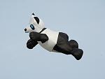 Click image for larger version. 

Name:	Panda over Otterspool DSC06491R.jpg 
Views:	292 
Size:	251.4 KB 
ID:	9755