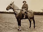 Click image for larger version. 

Name:	George Snr Horse.jpg 
Views:	576 
Size:	161.4 KB 
ID:	23863