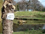 Click image for larger version. 

Name:	Sefton Park DSC07541R.jpg 
Views:	557 
Size:	558.7 KB 
ID:	5419