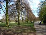 Click image for larger version. 

Name:	Calderstones Park Liverpool DSC06927R.jpg 
Views:	408 
Size:	566.6 KB 
ID:	10006