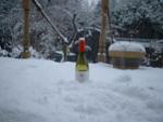 Click image for larger version. 

Name:	Bolton snow 005.jpg 
Views:	162 
Size:	620.3 KB 
ID:	12099