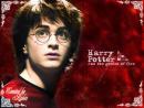potter's Avatar