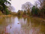 Click image for larger version. 

Name:	P1100492..JPG 
Views:	401 
Size:	404.0 KB 
ID:	14234