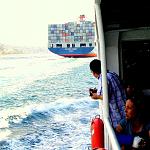 Click image for larger version. 

Name:	2010_0604Faces0159 (Medium).JPG 
Views:	355 
Size:	71.0 KB 
ID:	16484