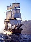 Click image for larger version. 

Name:	Bark Endeavour.jpg 
Views:	192 
Size:	111.5 KB 
ID:	18259