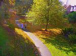 Click image for larger version. 

Name:	P1050103.jpg 
Views:	367 
Size:	149.9 KB 
ID:	8281