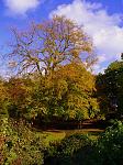 Click image for larger version. 

Name:	P1050099.jpg 
Views:	249 
Size:	128.4 KB 
ID:	8359