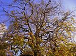 Click image for larger version. 

Name:	P1050100.jpg 
Views:	246 
Size:	195.2 KB 
ID:	8360