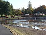 Click image for larger version. 

Name:	Sefton Park Lake DSC04961R.jpg 
Views:	477 
Size:	480.1 KB 
ID:	8348