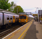 train